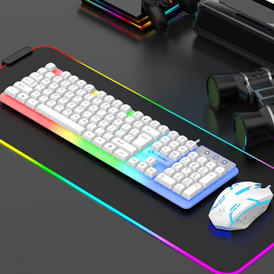 Keyboard, Luminous Keyboard and Mouse Set Hovering Keyboard Mechanical Feeling Gaming Mouse and Keyboard Colourful RGB Lights Wired Keyboard Wired Mouse,Valentines Day Gifts for Him/Her
